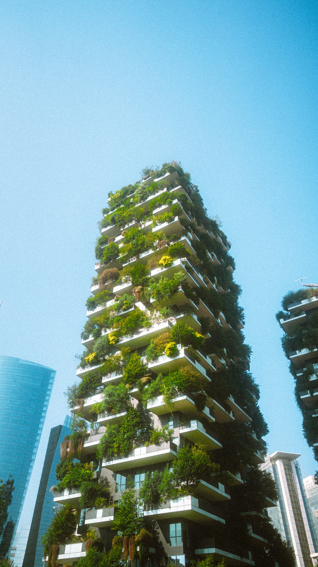 LEED Platinum Office